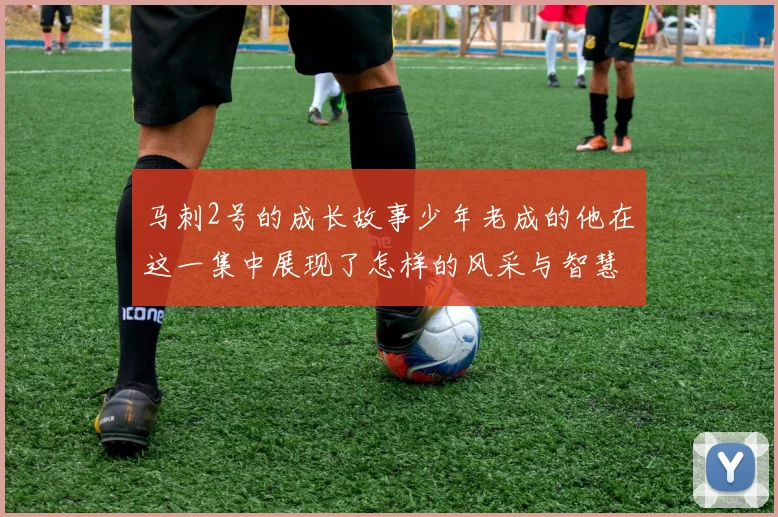 马刺2号的成长故事少年老成的他在这一集中展现了怎样的风采与智慧